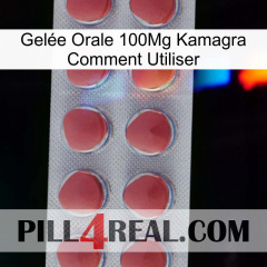 Gelée Orale 100Mg Kamagra Comment Utiliser 18